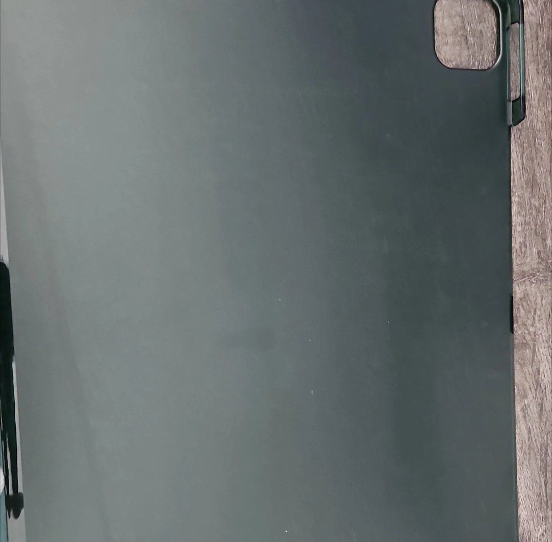 10 ish inch iPad case