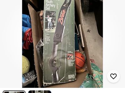Golden Eagle The Brave Youth Archery Set - Vintage Beginner Bow Kit