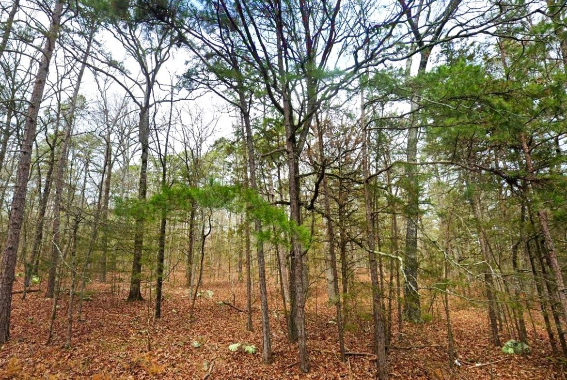Main image 6