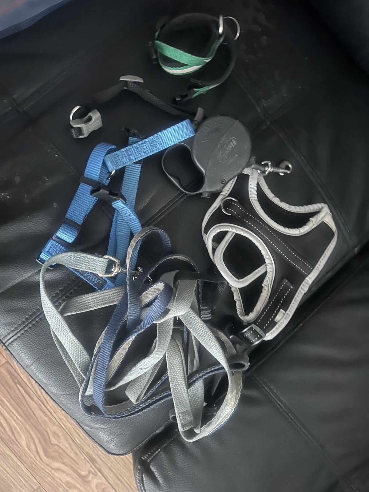 Small dog or use it for cats