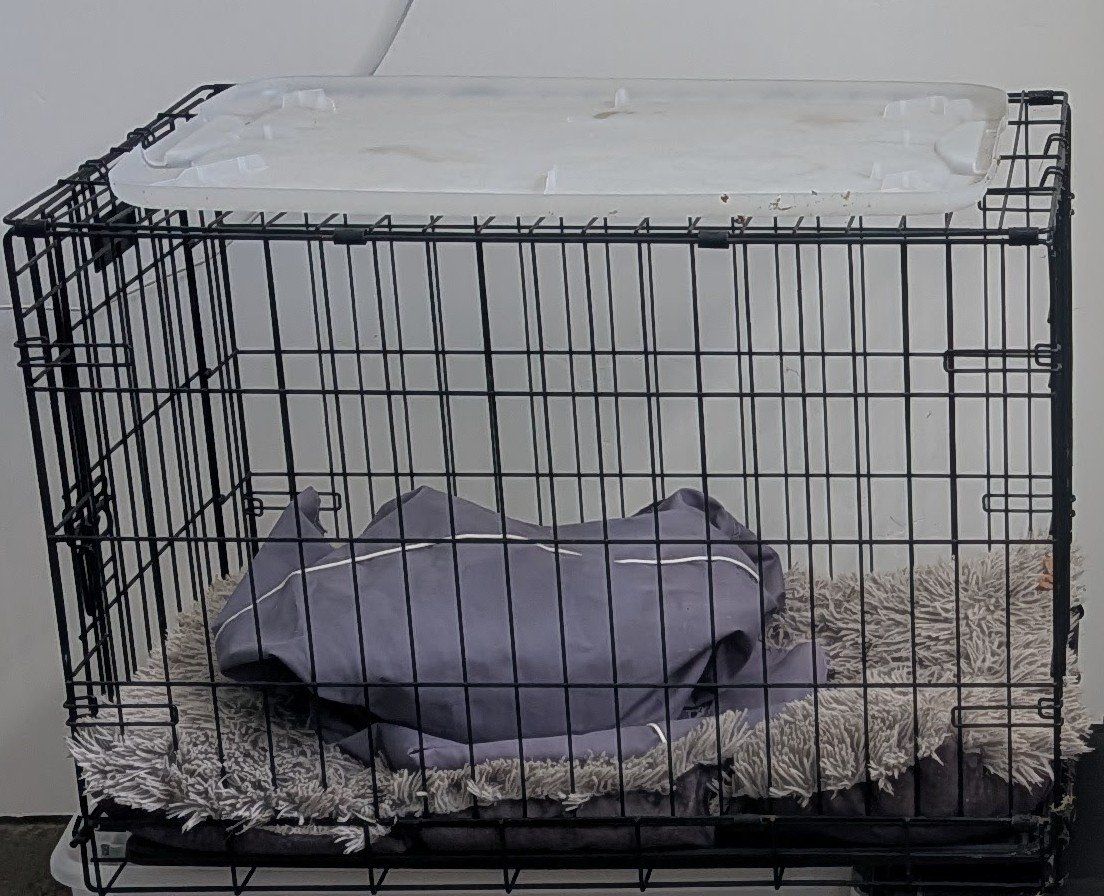 Dog Crate Large 3' x 2' Wire