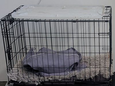 Dog Crate Large 3' x 2' Wire