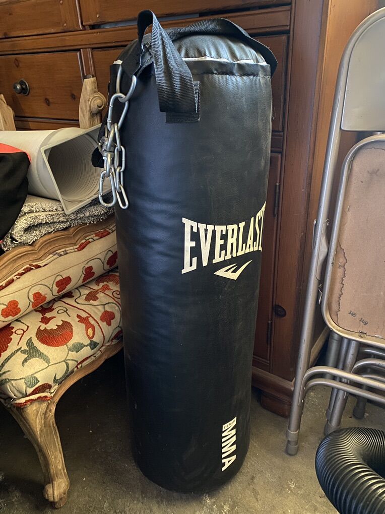 Everlast Punching Bag
