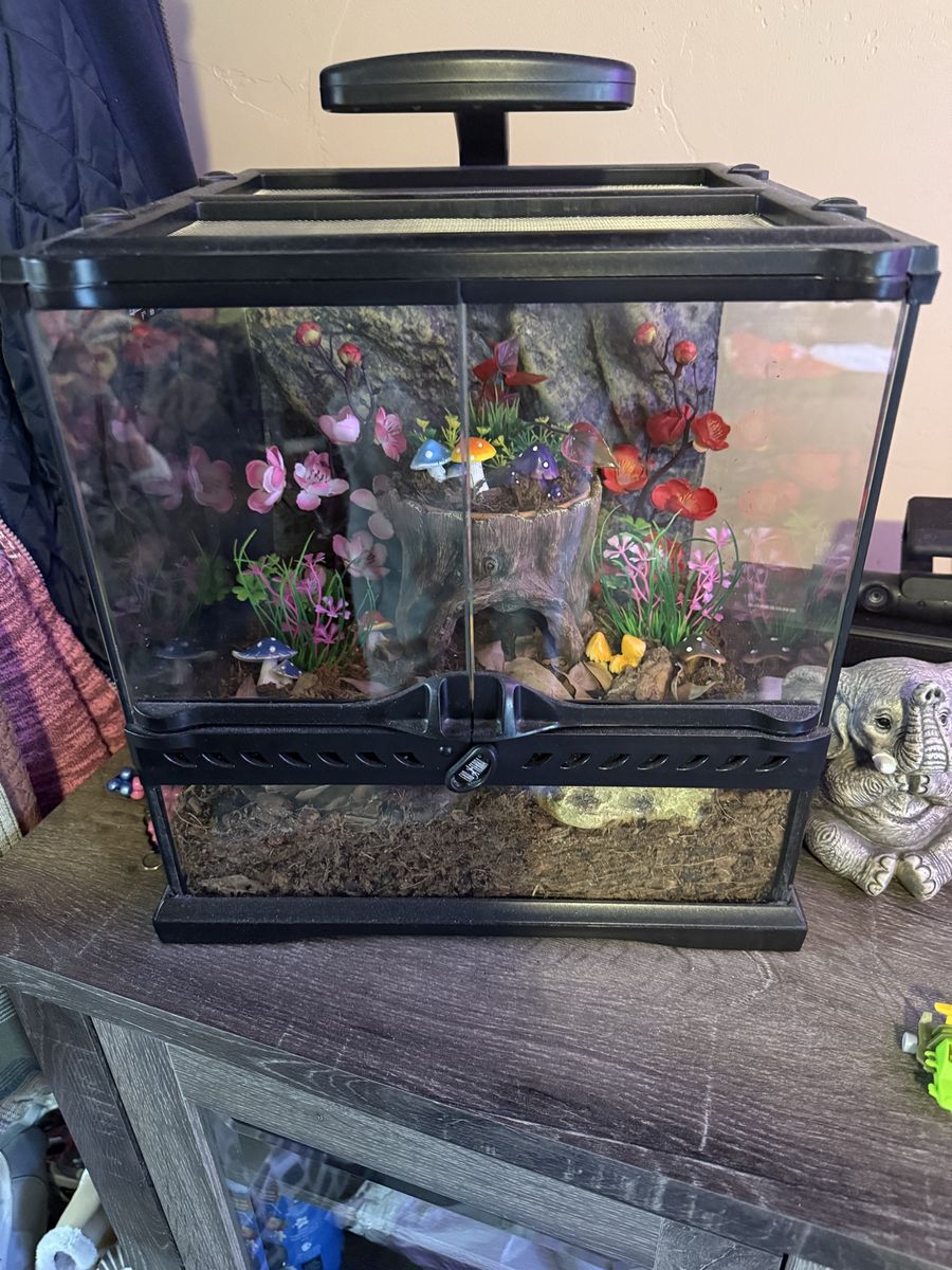 Almost ready bio active tank just need to add iso pods and live plants. This is a perfect tank for frogs or small reptiles!