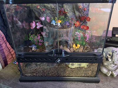 Almost ready bio active tank just need to add iso pods and live plants. This is a perfect tank for frogs or small reptiles!