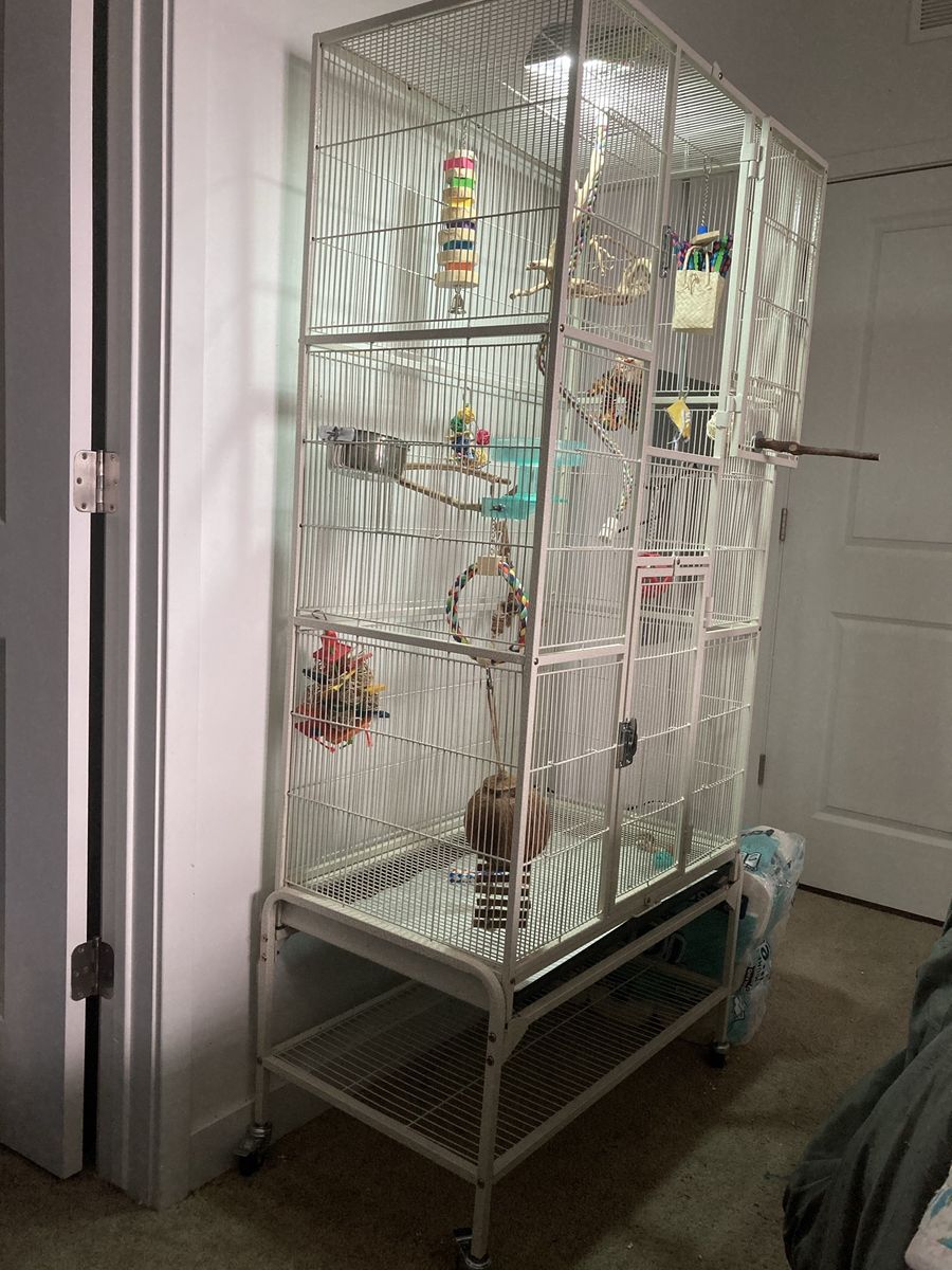 Large White Metal Bird Cage with Toys and UVA/UVB lamp, travel cage and extra toys.