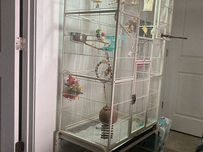 Large White Metal Bird Cage with Toys and UVA/UVB lamp, travel cage and extra toys.