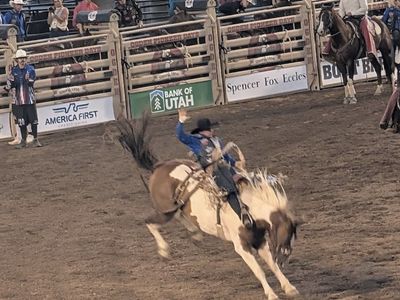 Ogden Pioneer Days Rodeo