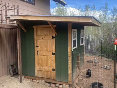 Barn Coop