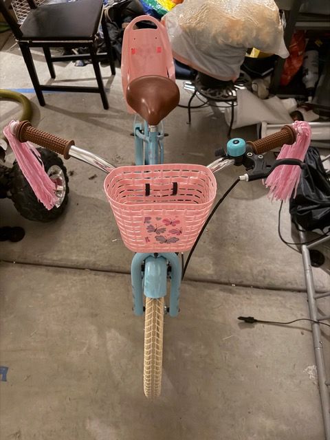 Girl 20" bike with basket and doll chair