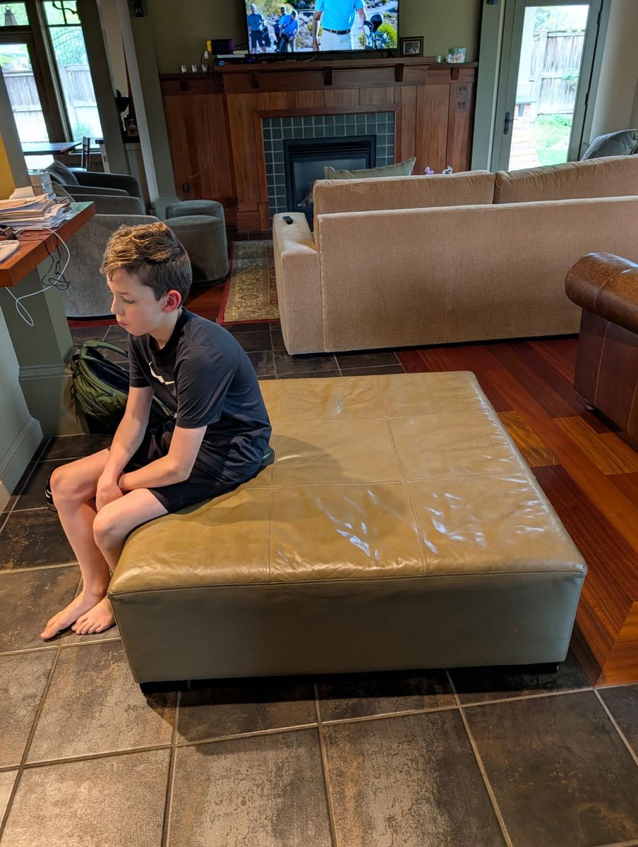 FREE LEATHER COUCHES AND OTTOMAN