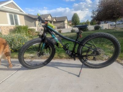 Trek Bike