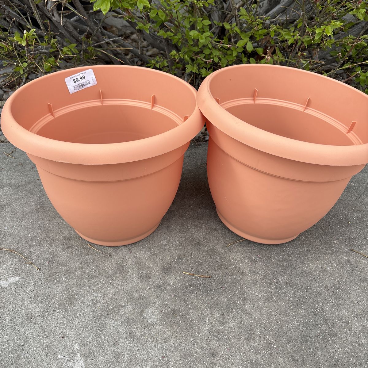 2-12" Bloem Ariana Self-Watering Planter