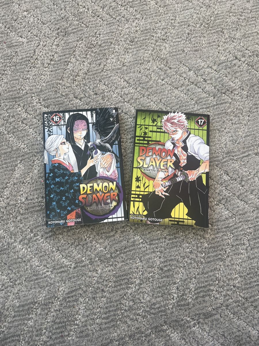 Demon Slayer Vol 16&17
