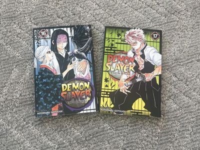 Demon Slayer Vol 16&17