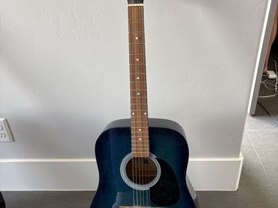 Indiana Scout Acoustic Guitar Blue Sunburst