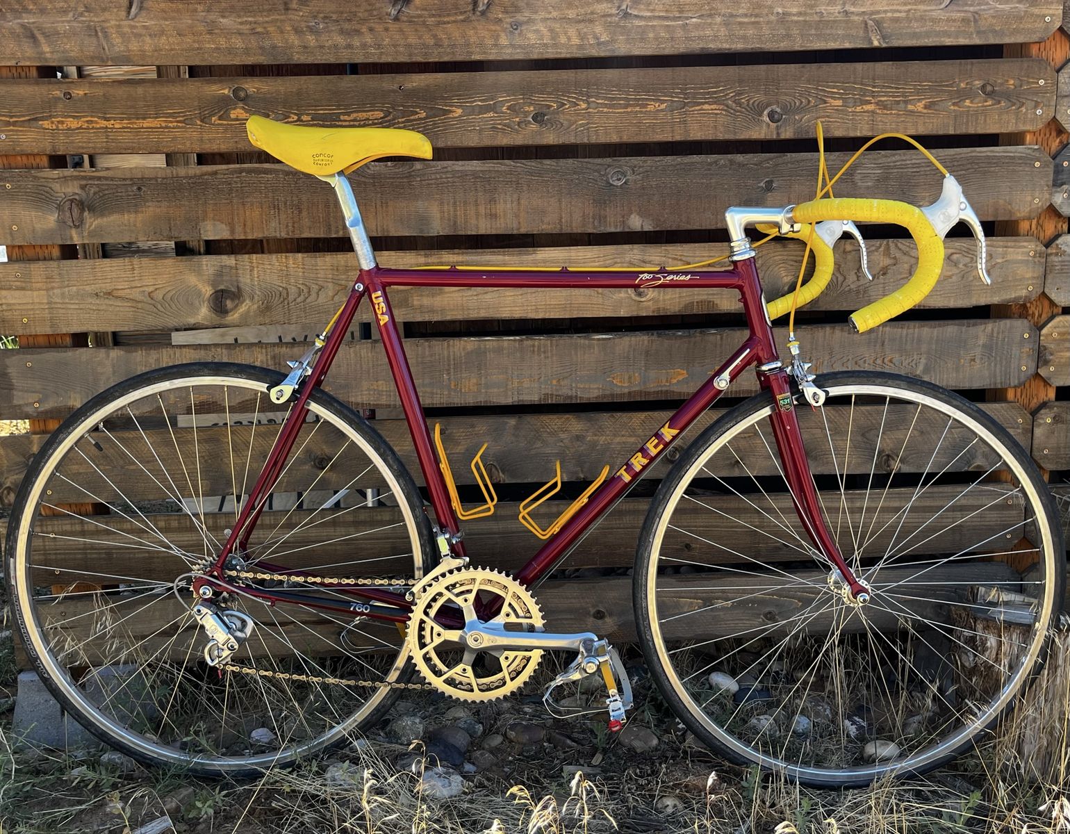 Beautiful Trek 760 Series Reynolds tubing and full Campagnolo size Large