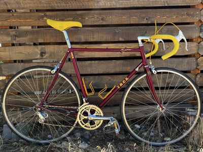 Beautiful Trek 760 Series Reynolds tubing and full Campagnolo size Large