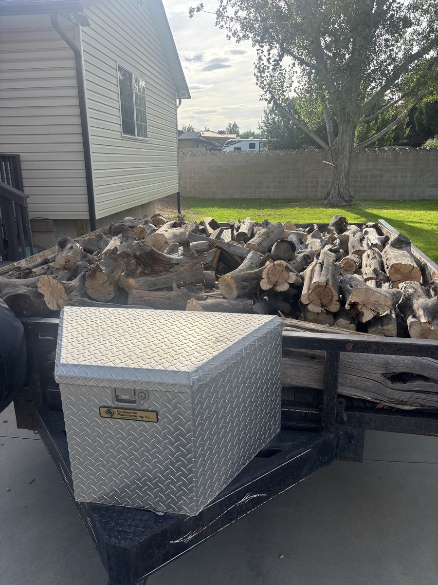 Fire wood