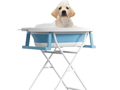 2 in 1 Portable Dog Washing Station tubs for Bathing & Grooming, Collapsible Pet Bathtub Elevated Blue