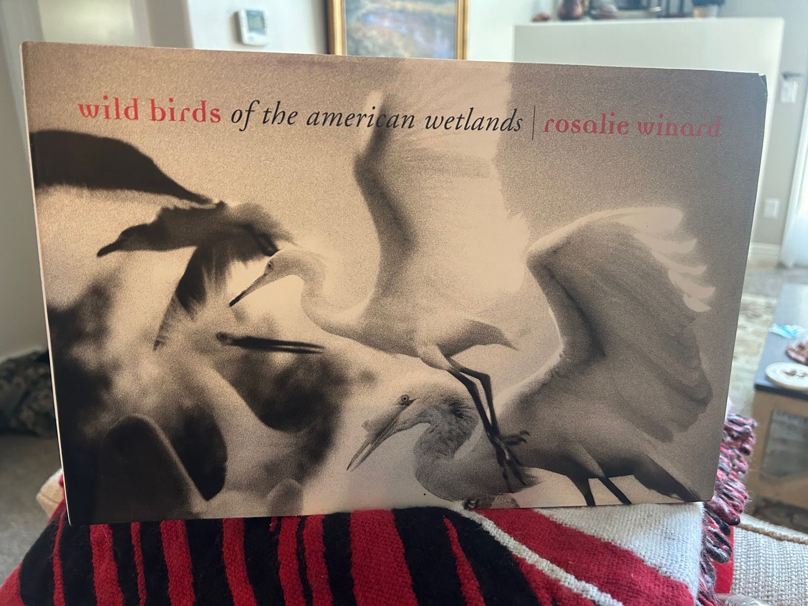 Beautiful Photography Books for your Coffee Table