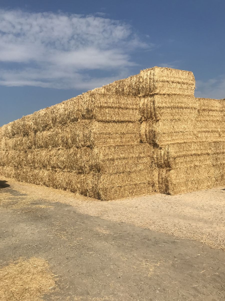 3x3 straw bales for sale