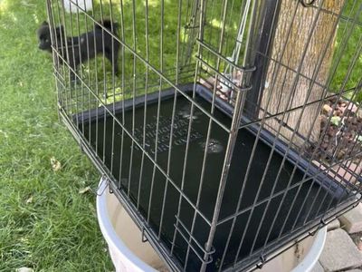 Black Wire Training Kennel