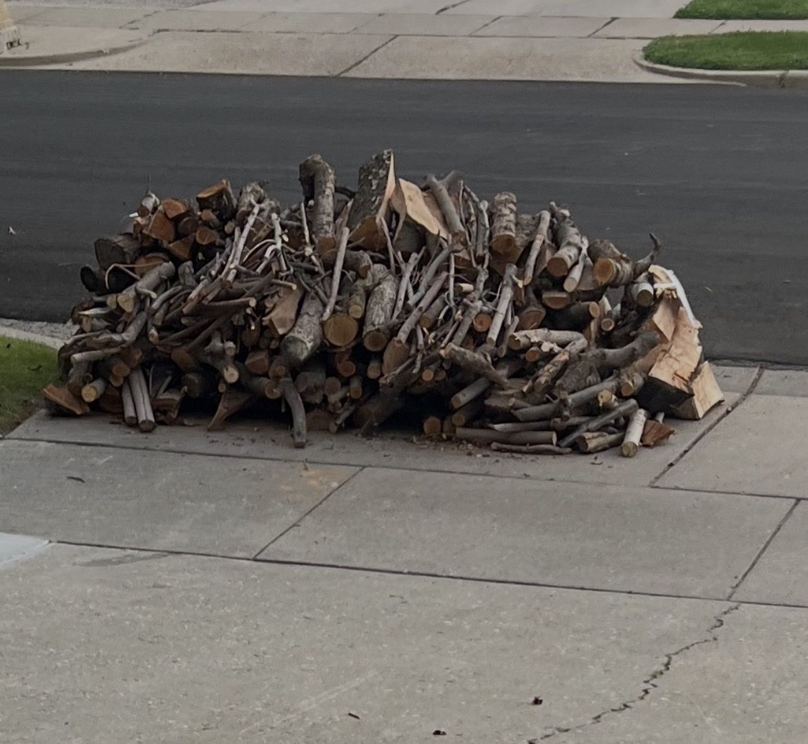 Free Firewood stacked by the road