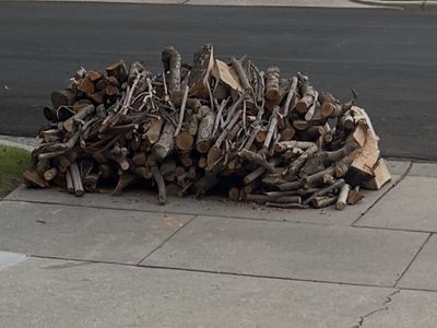 Free Firewood stacked by the road