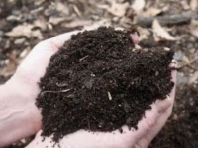 Compost