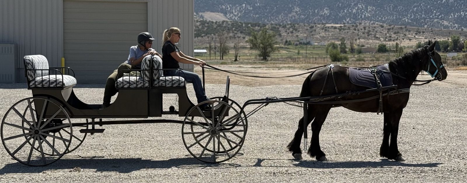 Horse-Drawn 4-Wheel Carriage Buggy with Patterned Cushioned Seating