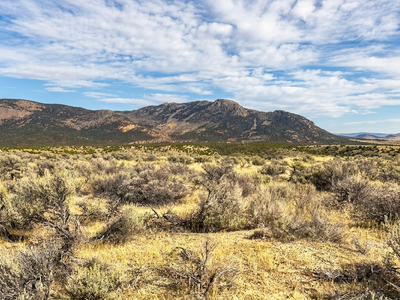 Your Unrestricted 32-Acre Homestead Borders BLM Land!