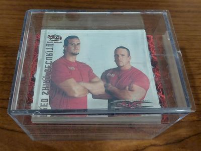 100+ 2004 TNA WRESTLING CARDS