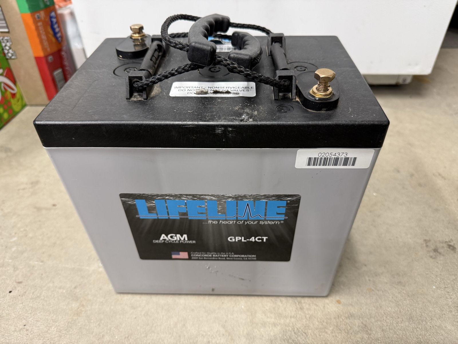 Lifeline GPL-4CT AGM Deep Cycle Battery 6V 220Ah