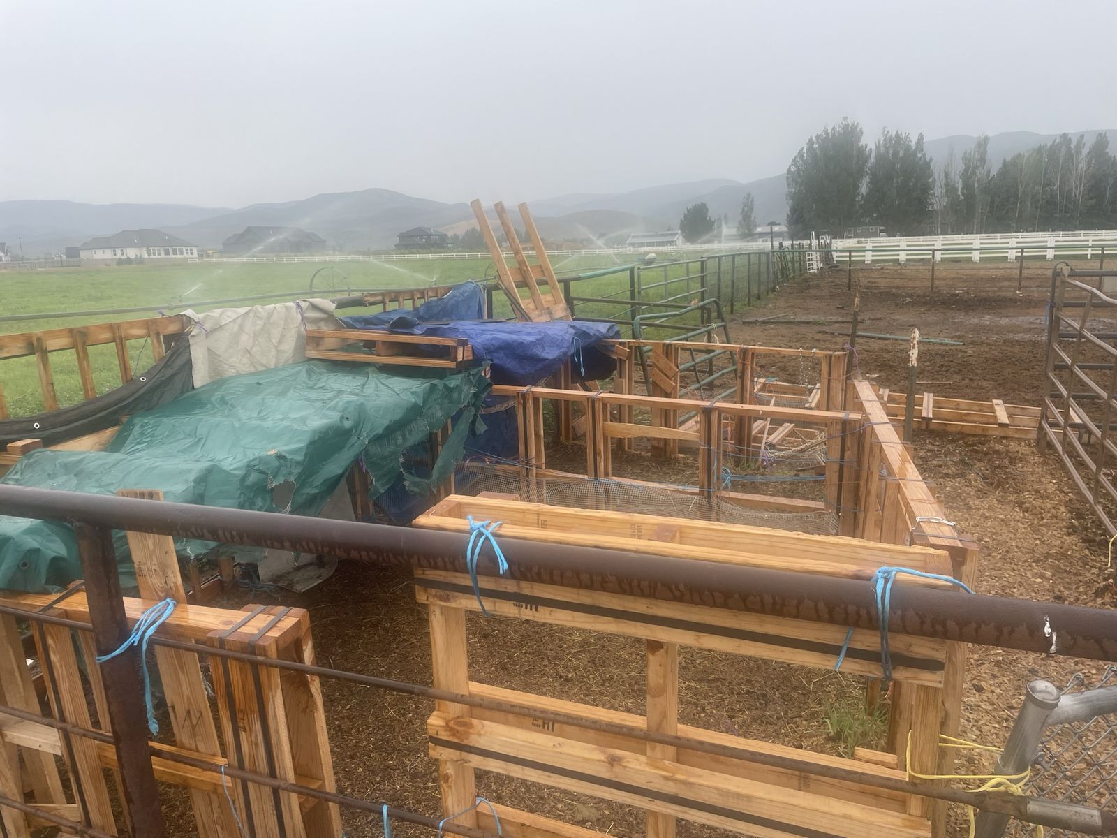 Lots of big pallets