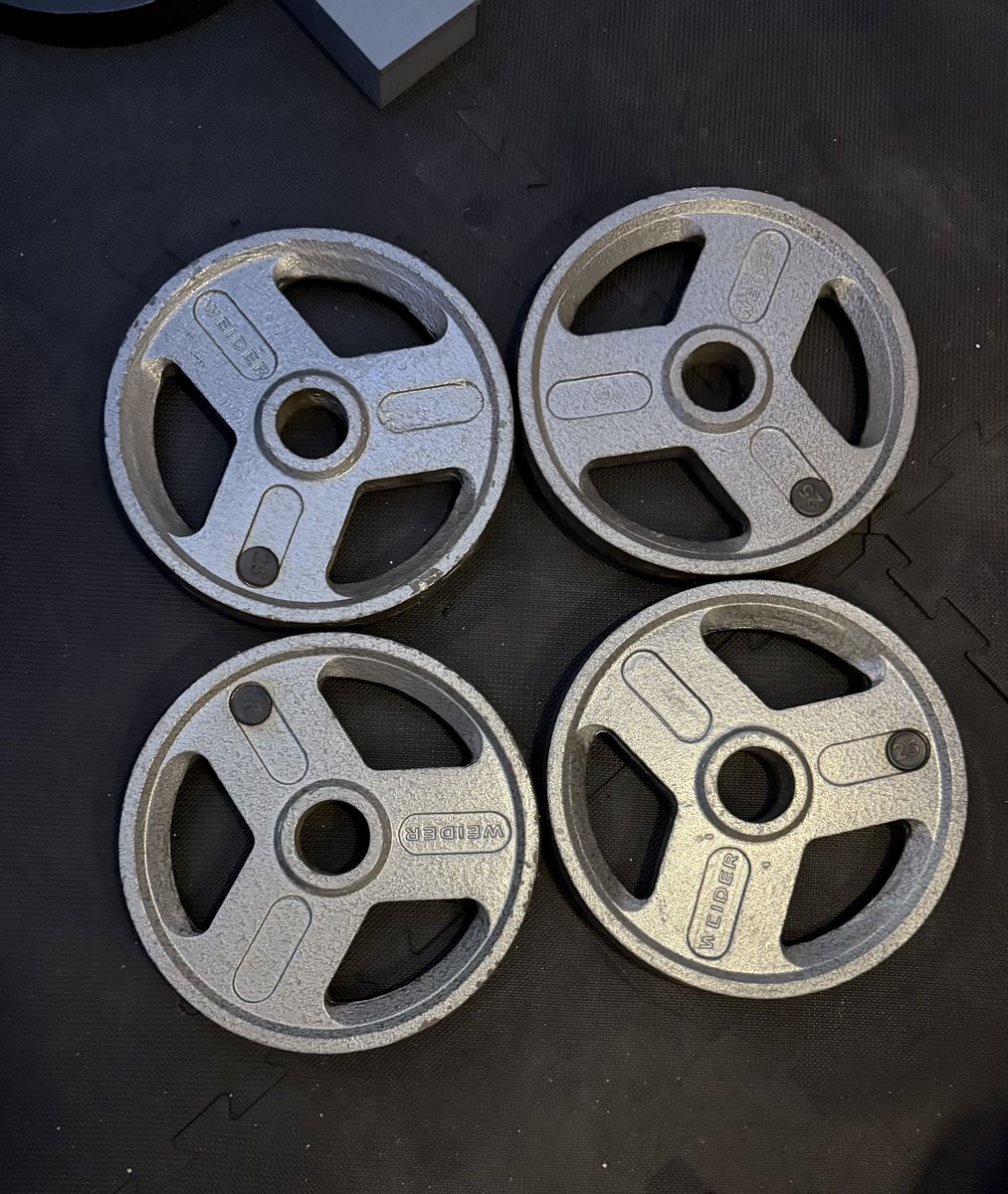 25 Lb Weider Plates