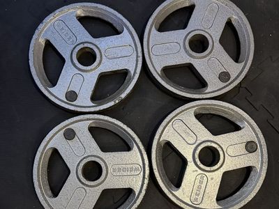 25 Lb Weider Plates