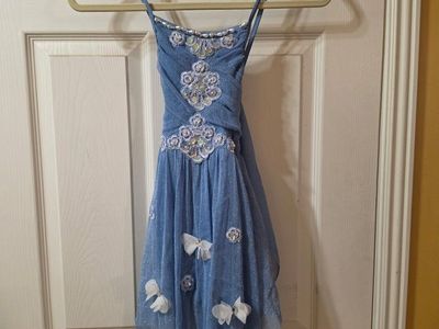 figure skate dress blue with butterflys