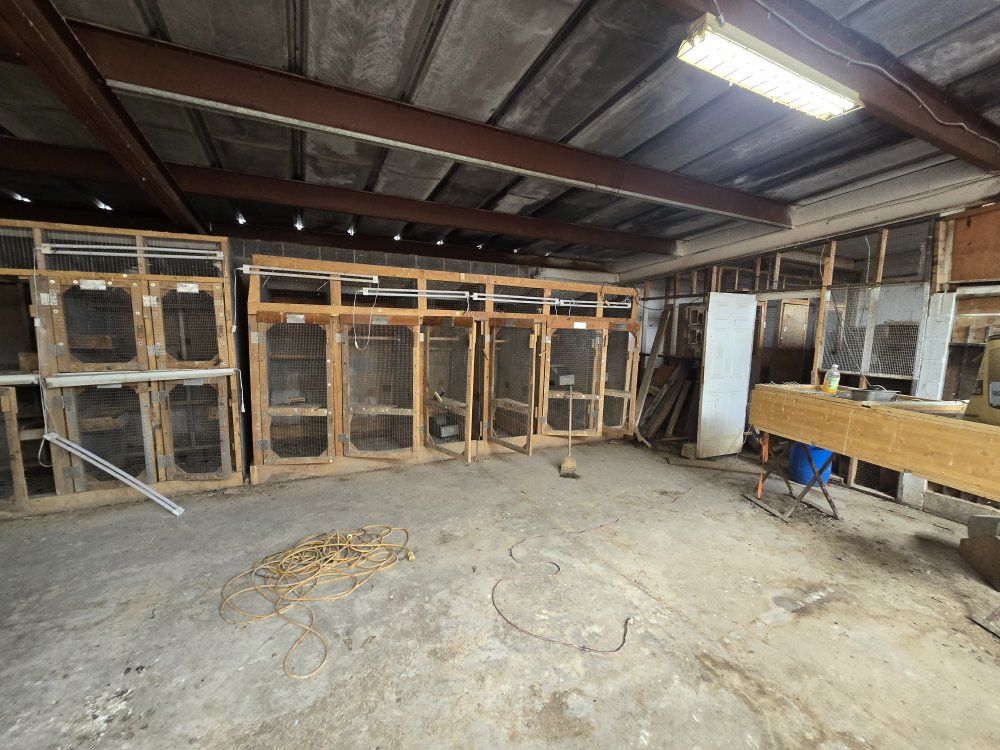 FREE Large Wooden Animal Enclosures/Cages - Multiple Units, Perfect for Aviary or Small Livestock