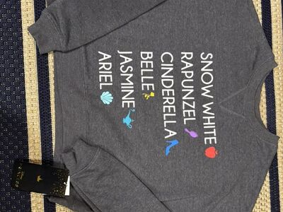 Disney Princess Sweatshirt NEW
