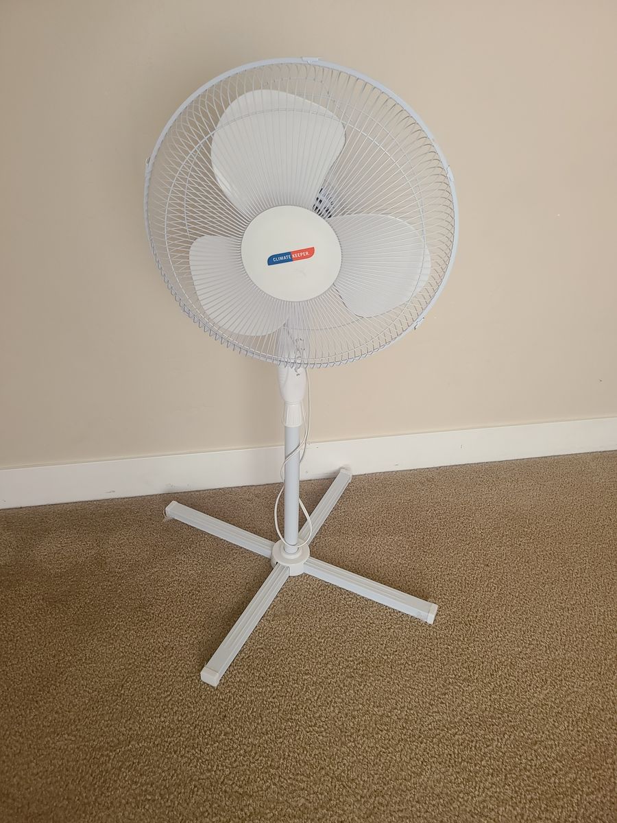 Pedestal fan