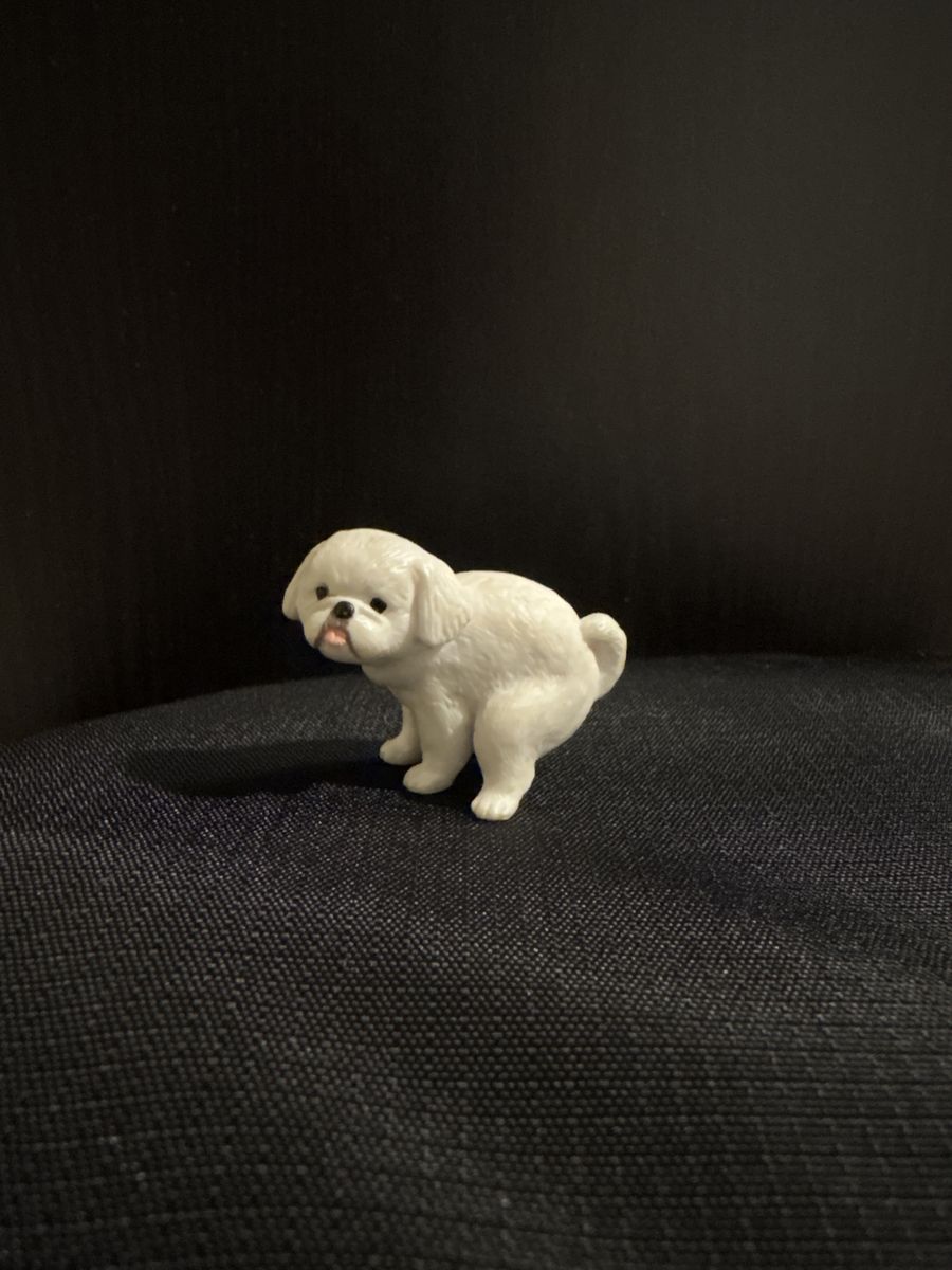 Hang In There Doggy Vol:3 White Dog