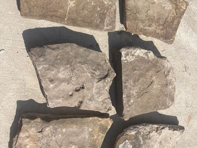 6 flagstone pavers tan color