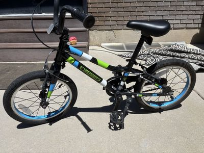 Guardian Ethos Kids' Bike - 16" Wheels - Black/Blue/Green