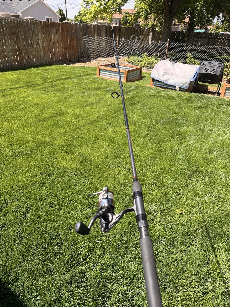 Beginner fishing real and rod