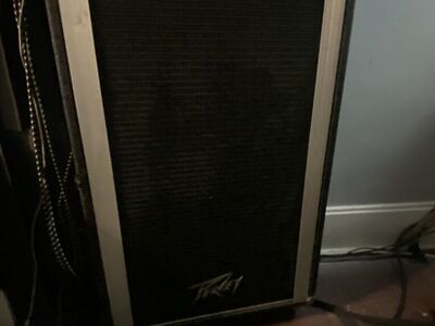 Peavey 2x12 Speaker Cab