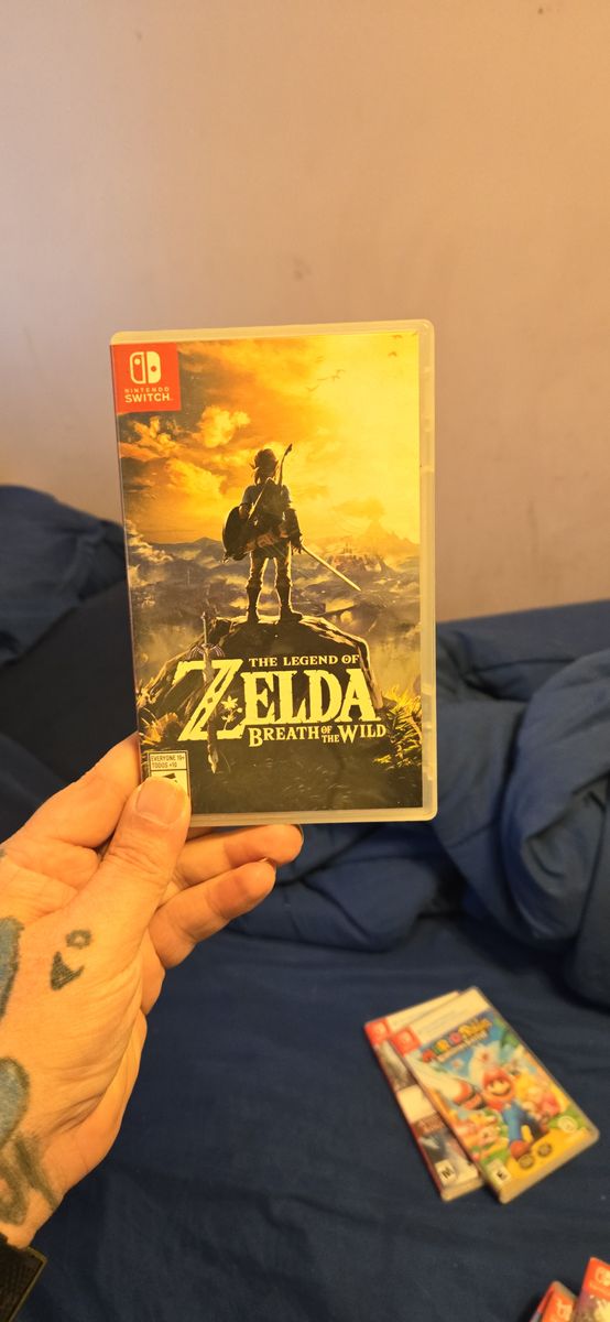 Zelda breath of the wild Nintendo switch