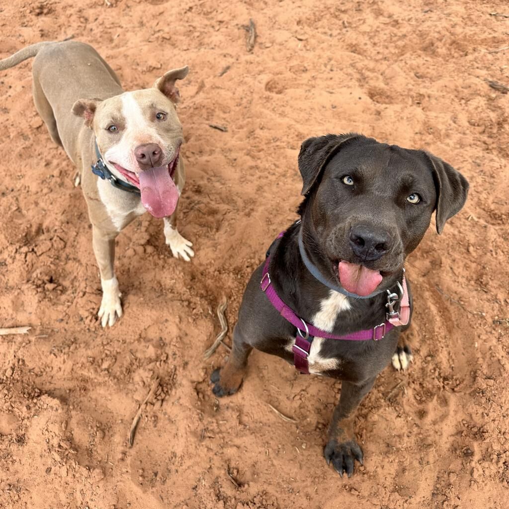 Hello my name is Hope