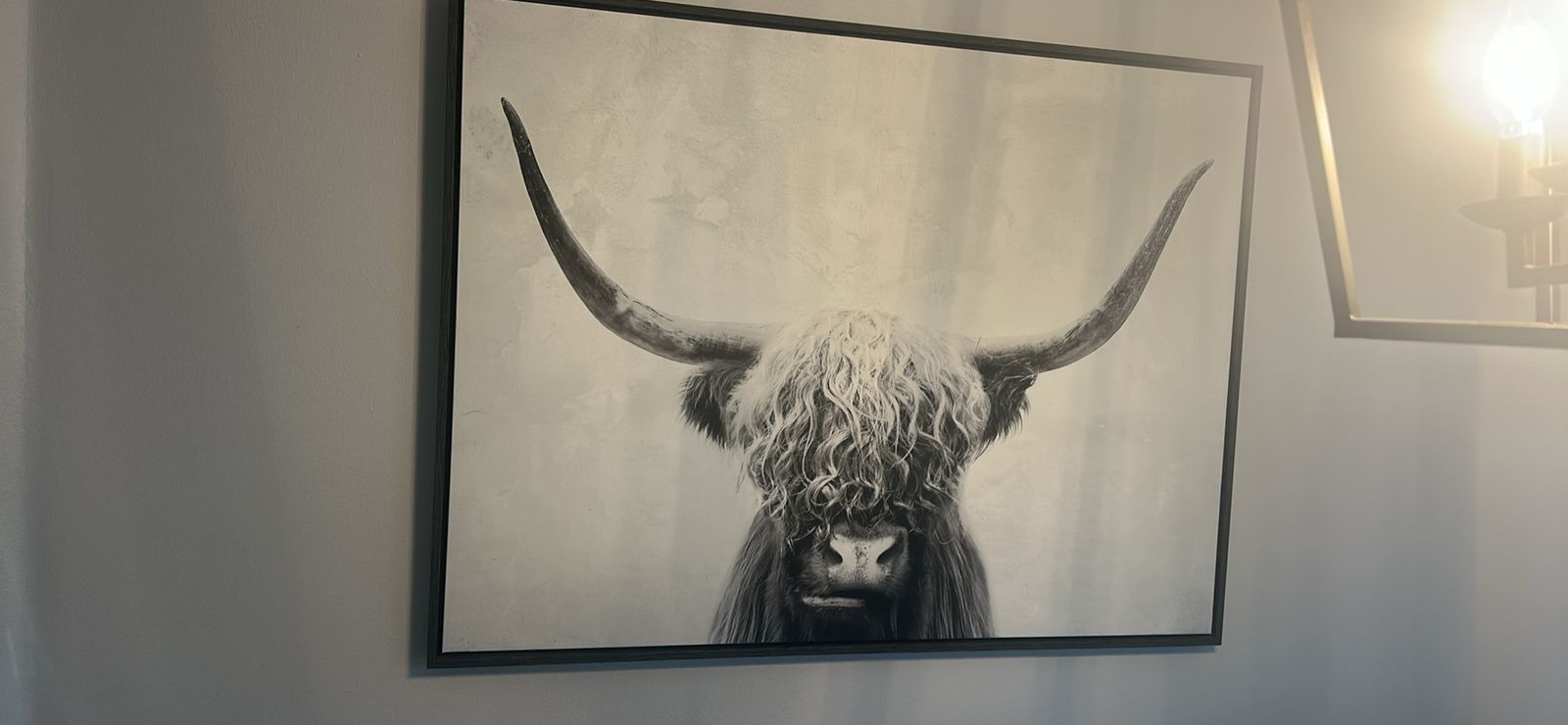 Highland Cow Framed Canvas Print