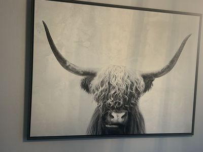 Highland Cow Framed Canvas Print